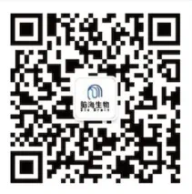QR Code 2